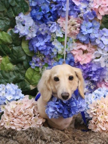 20250604シオンくん